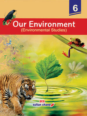 Our Environment - 6
